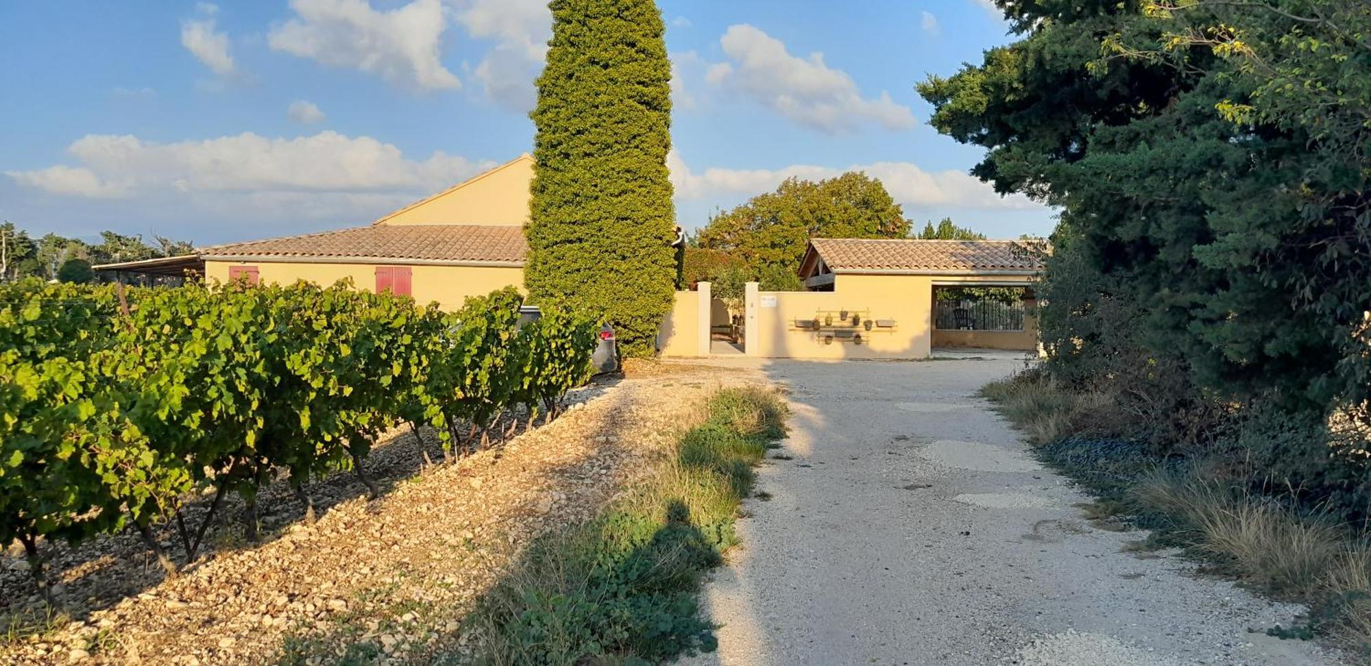 Mas La Gentille ,,, A La Campagne , Beautiful Outdoor , Swimming Pool , Pool House , Nice Green Garden , Bbq ,,, Only For You , Pour Passer Un Sejour Inoubliable بيرنيه لو فونتينز المظهر الخارجي الصورة